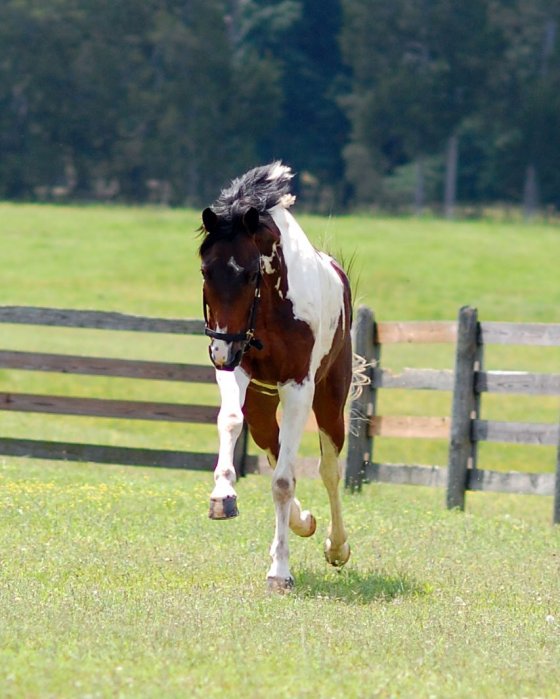 Through the Lens Thursday