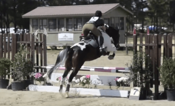 Showjumping at the Carolina Horse Park