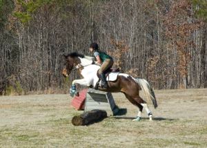 Before: Our first XC school in Feb 2012. Note tiny jump and horrible release 