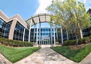 My last photo of Tekelec