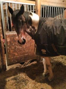 Foster all bundled up against the cold