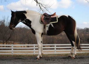 Foster's sale pic- how could I NOT go see him!