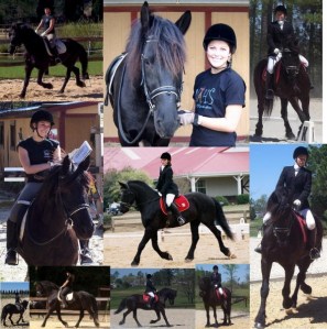 Yes, I so loved this horse I made sappy photo collages of us together.