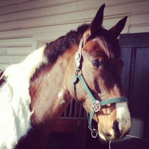 Who wouldn't want to ride this (finally cleaned up) sweet thing?