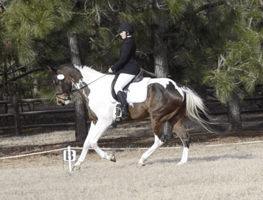 In the same saddle on Foster, concentrating on not letting my leg slip forward