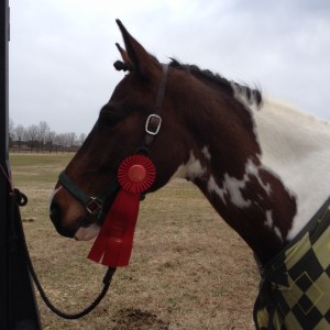 I should have added 'not do shit braids' to my resolution list...