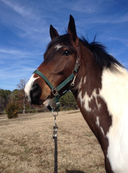 Foster checks out the new place