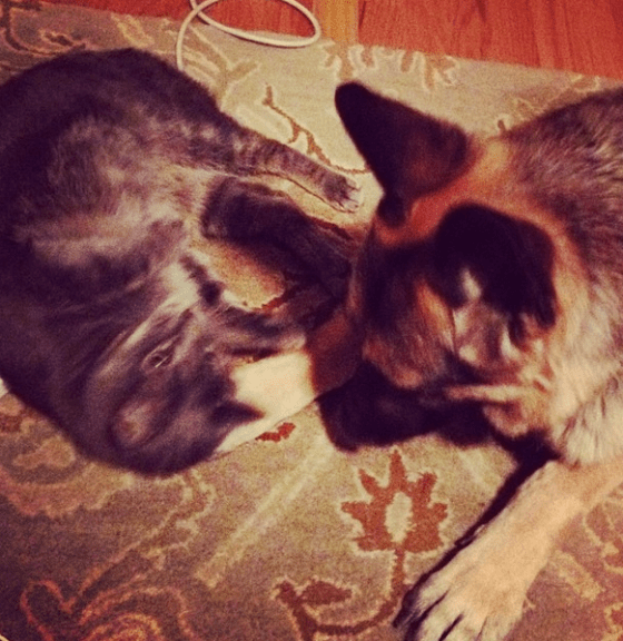 Screen Shot 2014-03-19 at 11.33.08 AM