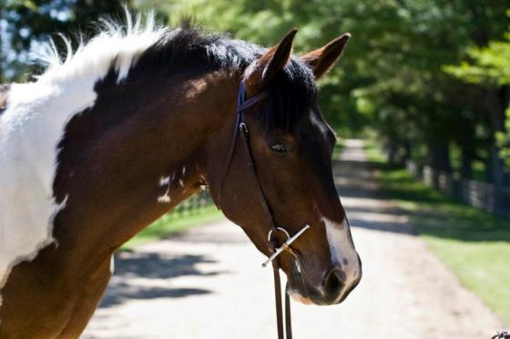 480241_10100615759829279_1728655444_n