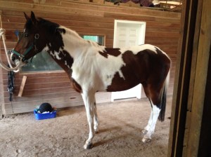 His head looks huge from this angle!