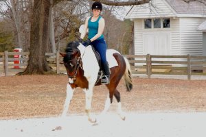 Mum meets Foster for the first time, about 30 days into my owning him