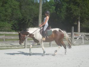 After his bout of naughtiness, I give my sister a mini-lesson and we ended on a good note!