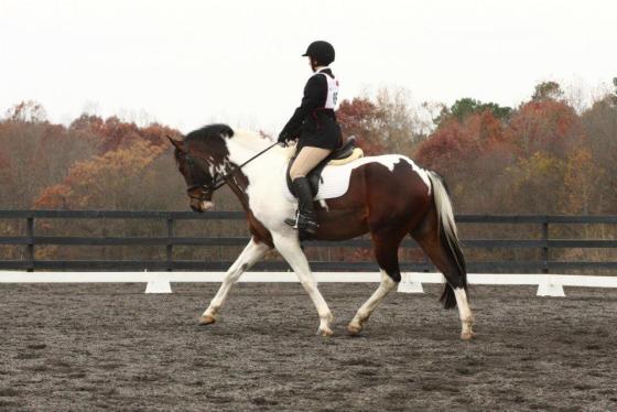 Foster in a trace clip