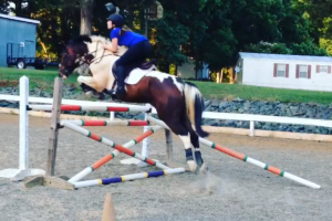 How 'bout them knees?!