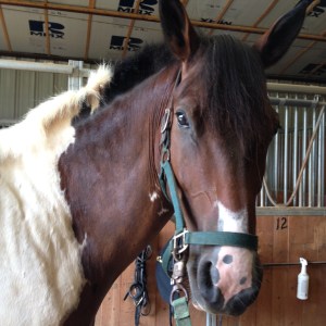 Mane is show ready finally, with no show in sight