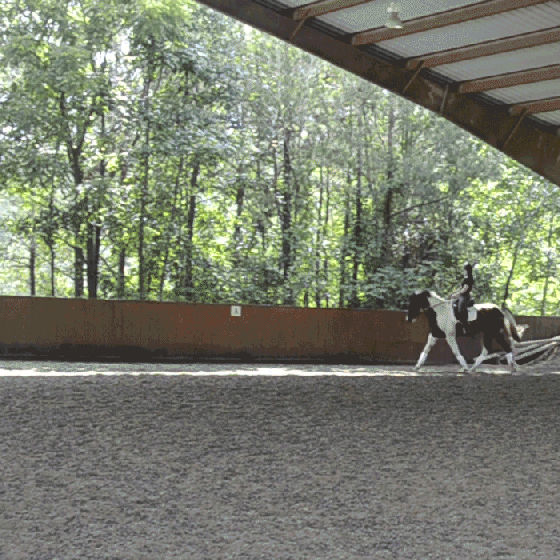 No new media- here's gifs that are almost a year old instead :)