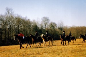 Foxhunting (which is kind of like trail riding?), again on Tanner