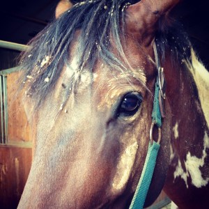 You get photos of Foster's new hobby- getting disgustingly dirty