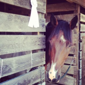 Foster and one of our 2 4th place ribbons!