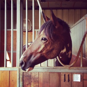Last night's Foster- scrubbing the face is not fun!