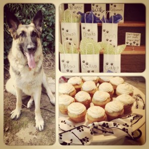 Drake at the doggy birthday party