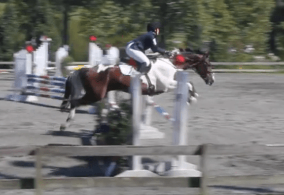 FENCE, September 2014