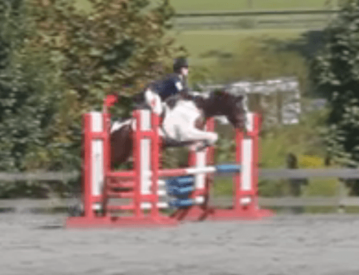 FENCE showjump 6