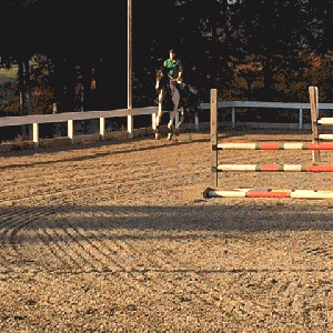 Foster thinks GO should be a subtlety