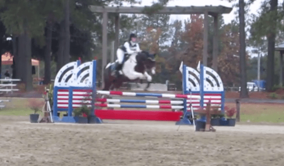 Wish I had a photo of this one!