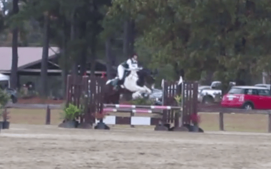 Sorry, no photos! Screengrabs instead!