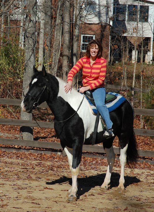 Another current family horse, Cochise