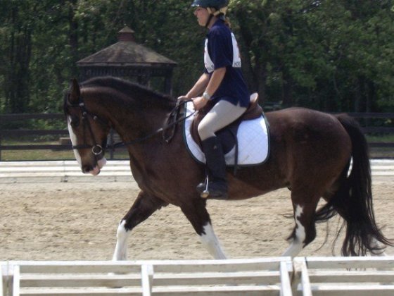 New Millenia, New Discipline! Dressage on her own Bud Light