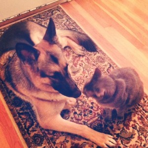 Secretly Drake was happy to come back and receive Elliot love as well