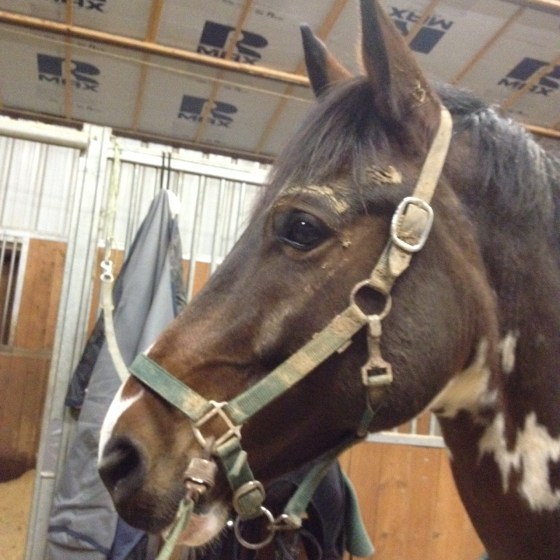 The mud eyebrows get me every time