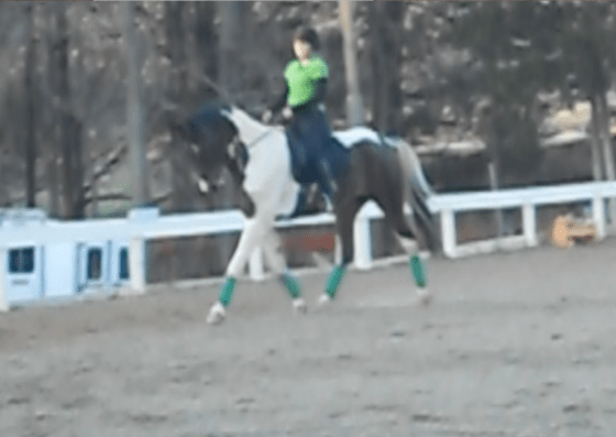Learning self carriage- better hind end muscling will only help!