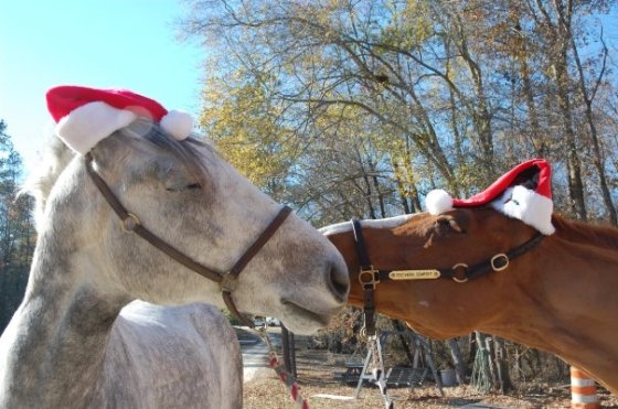 Ivan and his best friend Bo