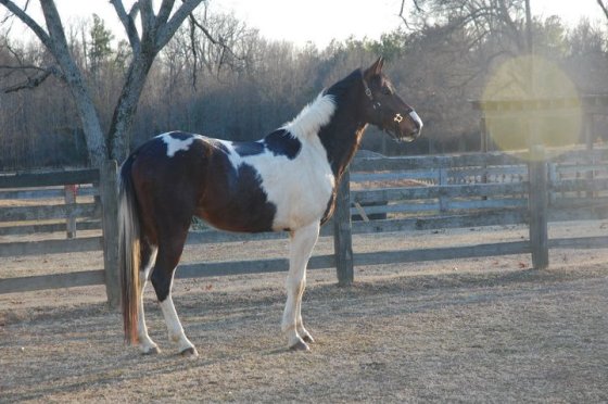 Baby Foster looking awkward