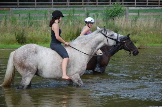 1909773_712602087659_1205767_n