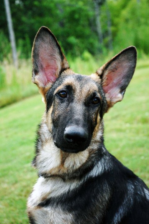 Drake's first photo shoot