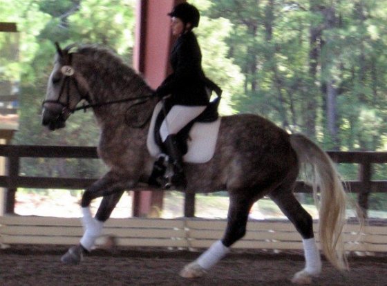 1923424_541191201449_618_n