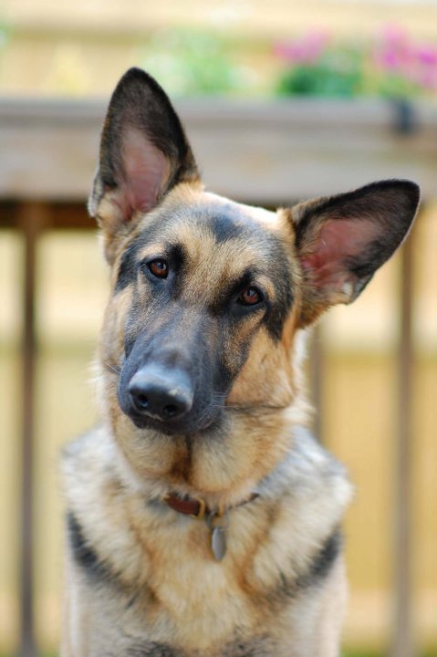 247709_10100167934689449_6097379_n