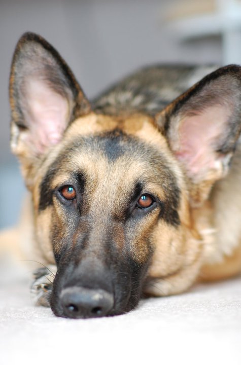 248389_10100167934844139_4935799_n