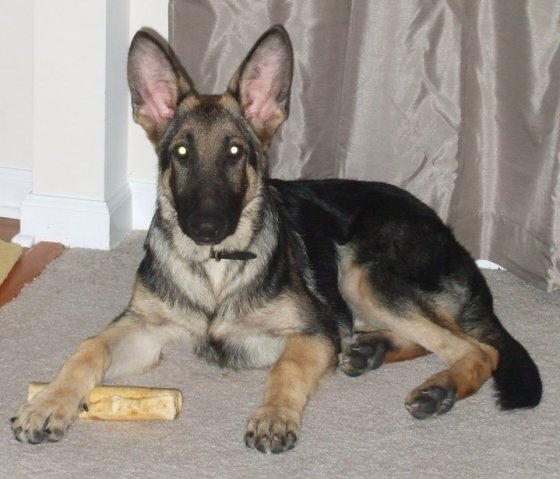 34331_813960439709_5384812_n