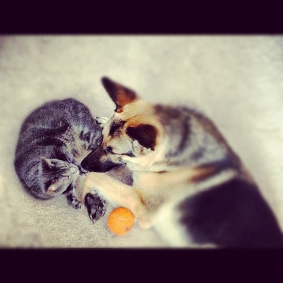 Instagram #elliotanddrake for more of this <3 (2012)