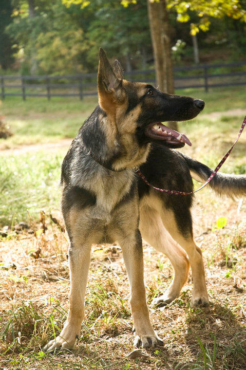 Drake's first barn visit