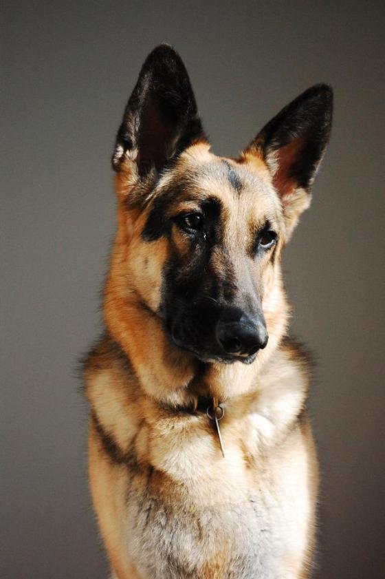 942736_10101206268674819_1258644854_n