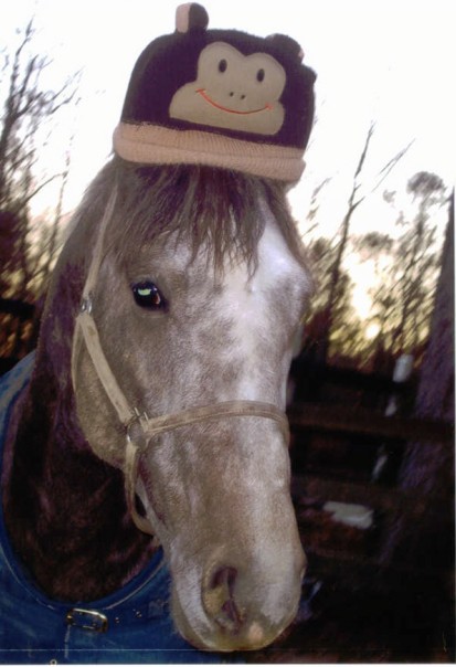 Baby Ivan wears the monkey hat