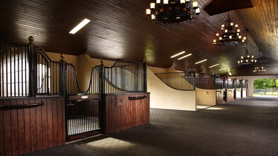 Most of us frequent barns of the non-chandelier sort / PC: Pegasus Builders