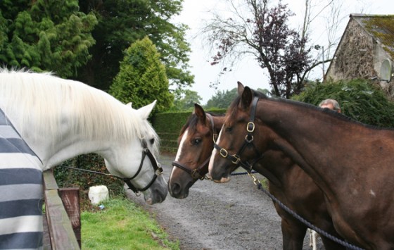 The late Cruising meets his two clones