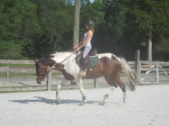 I let my sister on him once because, well, sisters